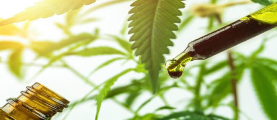 cbd