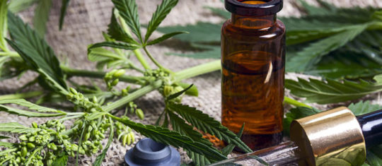 Produits biologiques à base de CBD